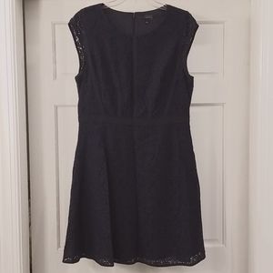 The Limited Navy Lace Dress